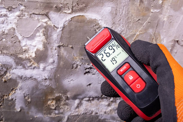 Home Mold Removal in Rector, AR