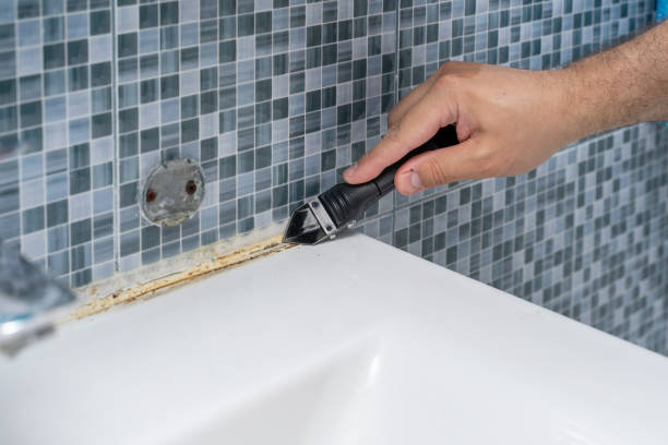 Reliable Rector, AR Mold Removal Solutions